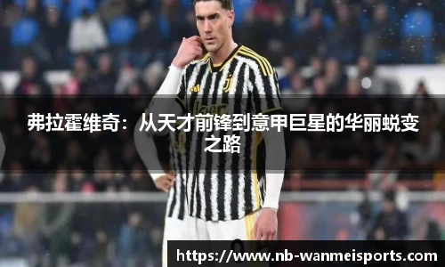 弗拉霍维奇:从天才前锋到意甲巨星的华丽蜕变之路